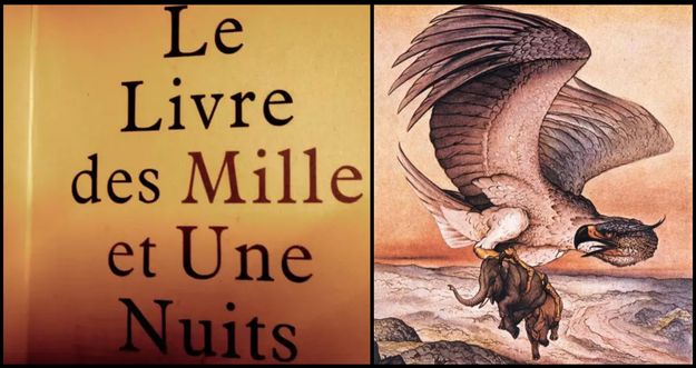 L'oiseau-éléphant de Madagascar, le plus gros oiseau de tous les temps